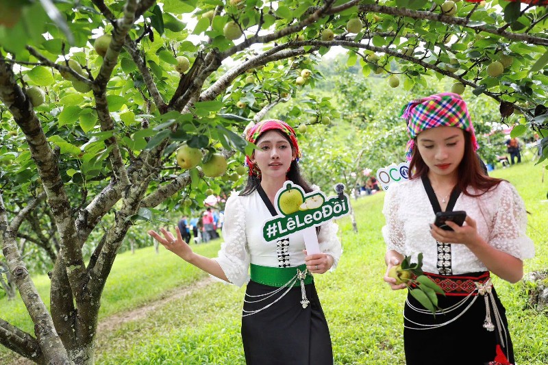 Tân phong - Điểm hẹn mùa Lê chín