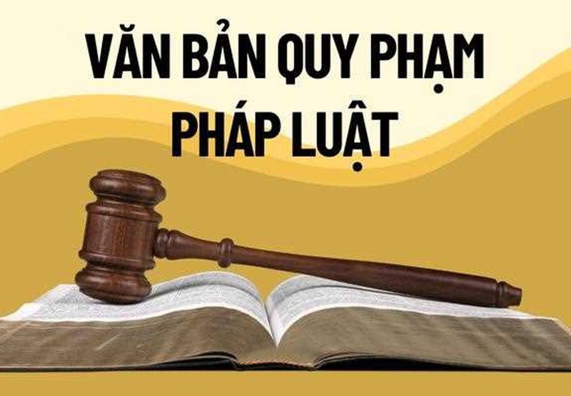 Thủ tướng: Xử lý dứt điểm tình trạng chậm ban hành văn bản quy định chi tiết luật, pháp lệnh, nghị quyết