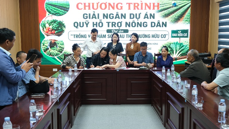 Quỹ Hỗ trợ nông dân tỉnh giải ngân Dự án trồng và chăm sóc rau theo hướng hữu cơ tại phường Tân Phong
