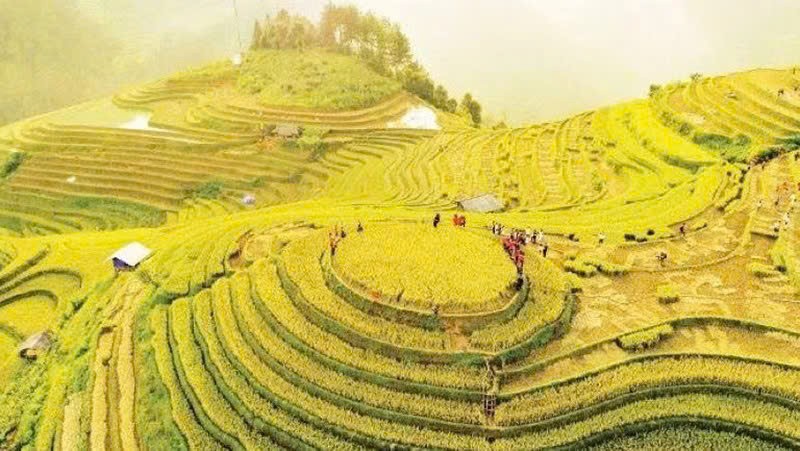 Từ bản sắc vùng miền đến sinh kế cộng đồng