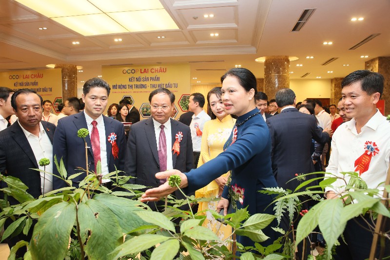 Dấu ấn Hội nghị Xúc tiến đầu tư tỉnh Lai Châu năm 2026: Đánh thức tiềm năng, khơi nguồn cơ hội