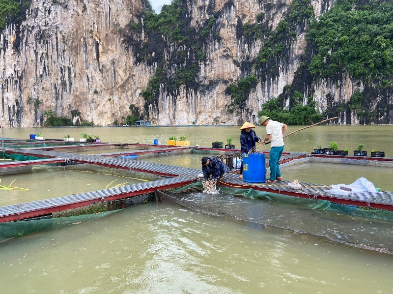 Khai thác hiệu quả tiềm năng mặt nước