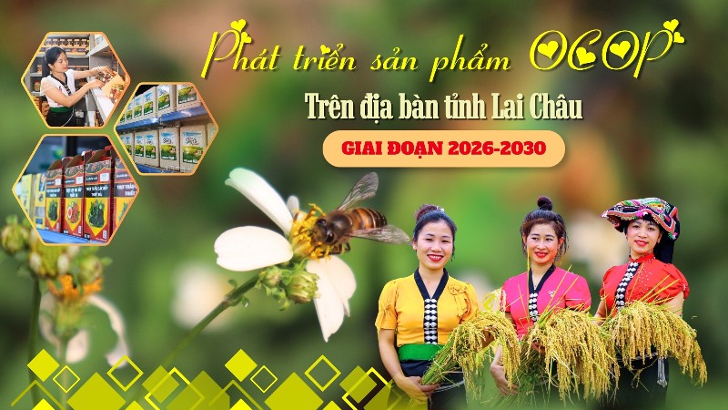 Phát triển sản phẩm OCOP trên địa bàn tỉnh Lai Châu giai đoạn 2026-2030
