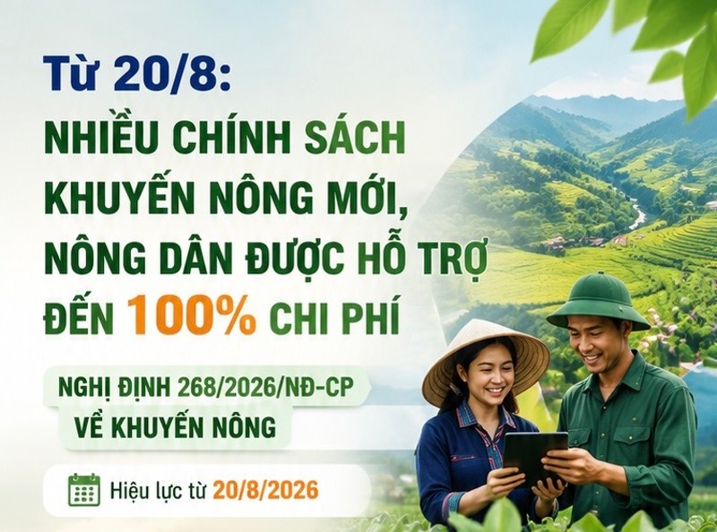 Từ 20/8: Nhiều chính sách hỗ trợ khuyến nông mới, nông dân được hỗ trợ đến 100% chi phí