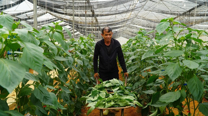 Tiếp sức cho nông dân