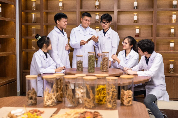 Triển khai kế hoạch phát triển y học cổ truyền theo kết luận của Tổng Bí thư, Chủ tịch nước Tô Lâm