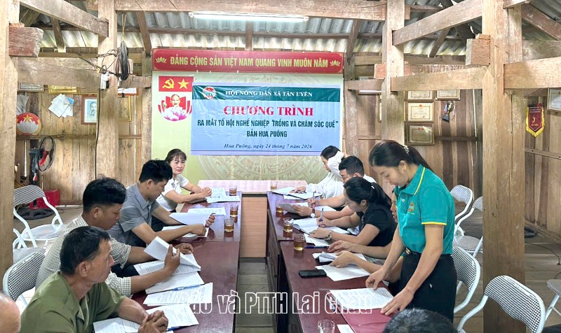 Hội Nông dân xã Tân Uyên ra mắt Tổ hội nghề nghiệp “Trồng và chăm sóc quế”