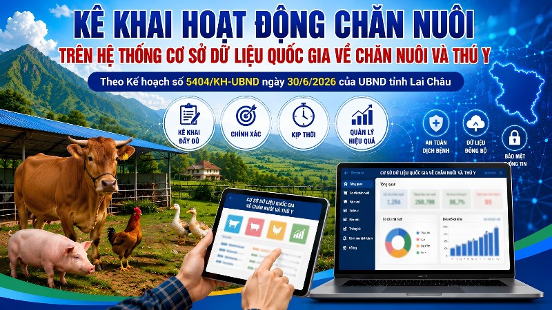 Kê khai hoạt động chăn nuôi tỉnh Lai Châu trên Hệ thống Cơ sở dữ liệu Quốc gia về chăn nuôi và thú y