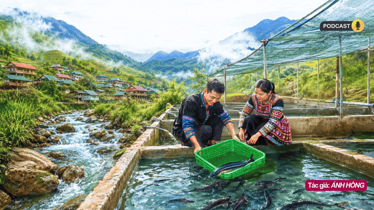 Khơi mạch nguồn giữa bản cao