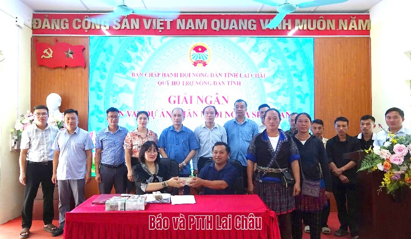 Hội Nông dân tỉnh giải ngân 1,4 tỷ đồng để phát triển nuôi ngựa sinh sản