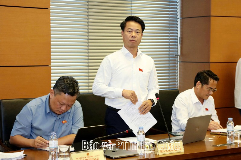 Đại biểu Quốc hội tỉnh Lai Châu đề nghị hoàn thiện cơ chế bảo vệ doanh nghiệp và nâng cao tính khả thi của các dự án luật