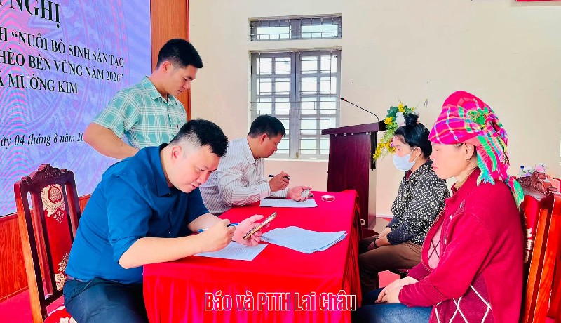 Khảo sát triển khai mô hình nuôi bò sinh sản tạo sinh kế giảm nghèo bền vững tại xã Mường Kim
