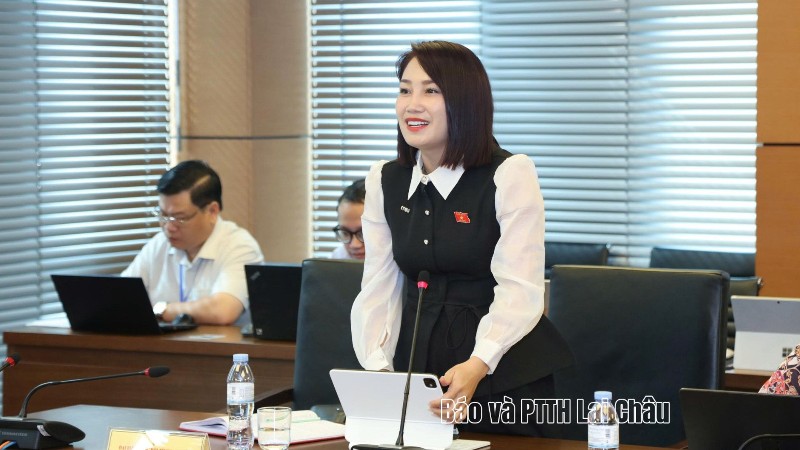 Đoàn ĐBQH tỉnh Lai Châu tham gia nhiều ý kiến tại phiên thảo luận tổ