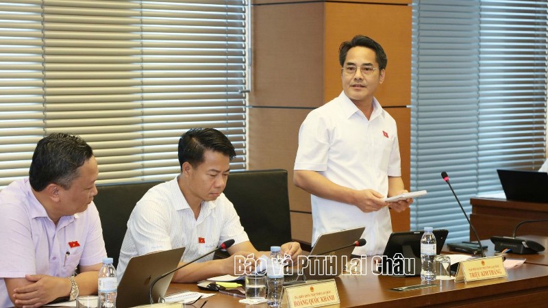 Đoàn ĐBQH tỉnh Lai Châu tham gia nhiều ý kiến tại phiên thảo luận tổ