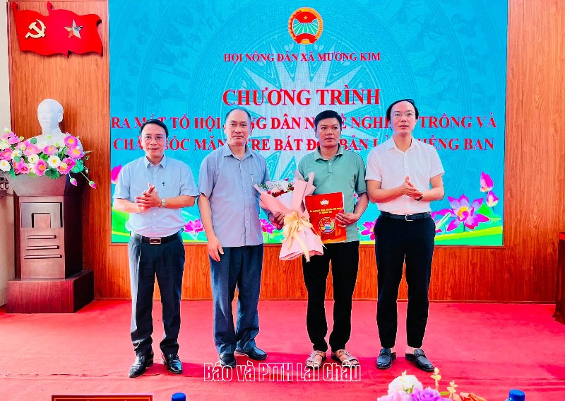 Ra mắt Tổ Hội Nông dân nghề nghiệp trồng và chăm sóc măng tre bát độ