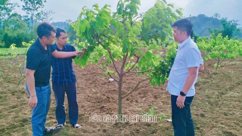 Pắc Ta nâng cao chất lượng xây dựng tổ chức đảng và đội ngũ cán bộ 