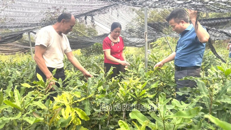 Học Bác từ những việc làm thiết thực
