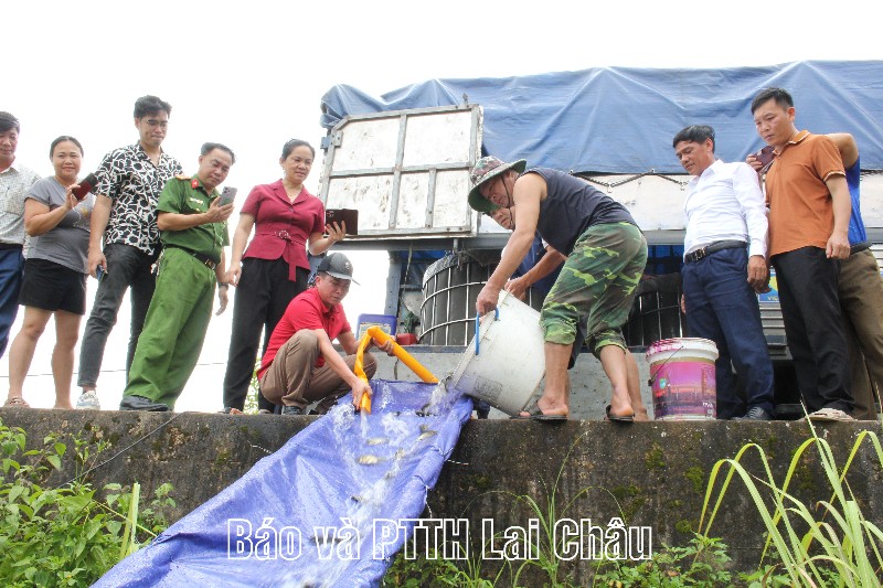 Thí điểm nuôi cá mè hoa thương phẩm tại hồ Pa Khoá
