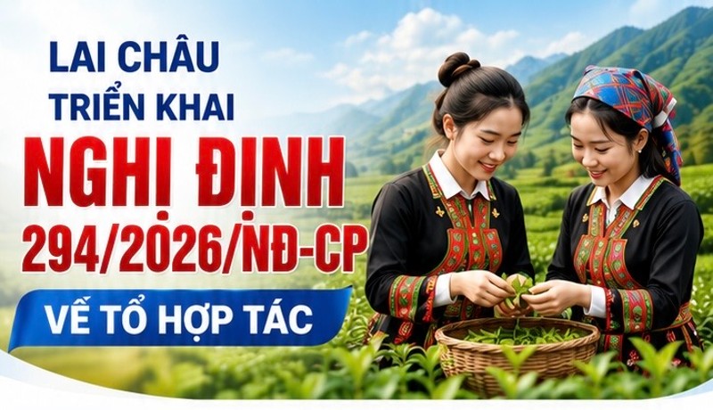 Lai Châu triển khai Nghị định số 294/2026/NĐ-CP về tổ hợp tác