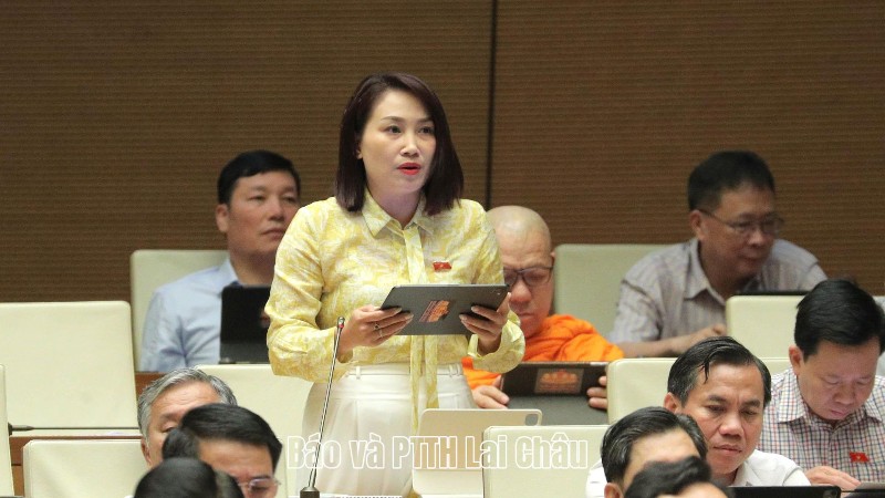 Đại biểu Quốc hội Cà Thị Thắm đề nghị minh bạch việc sử dụng AI trong xuất bản