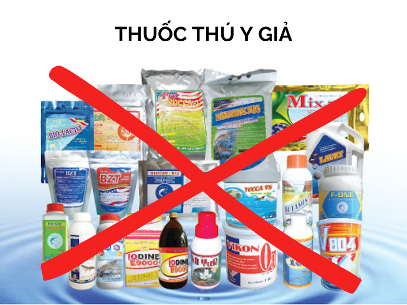 Tăng cường quản lý, kiểm soát việc kinh doanh, buôn bán và sử dụng thuốc thú y, thuốc thú y thủy sản 