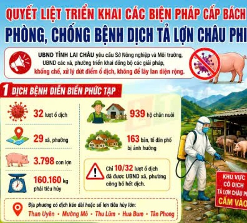 Quyết liệt triển khai các biện pháp cấp bách phòng, chống bệnh dịch tả lợn châu Phi