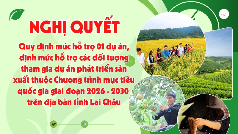 Nghị quyết Quy định mức hỗ trợ 01 dự án, định mức hỗ trợ các đối tượng tham gia dự án phát triển sản xuất thuộc Chương trình mục tiêu quốc gia giai đoạn 2026 - 2030 trên địa bàn tỉnh Lai Châu
