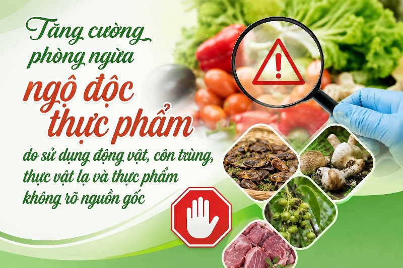 Tăng cường phòng ngừa ngộ độc thực phẩm do sử dụng động vật, côn trùng, thực vật lạ và thực phẩm không rõ nguồn gốc