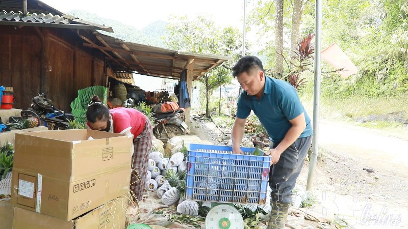 Xây dựng chuỗi giá trị bền vững