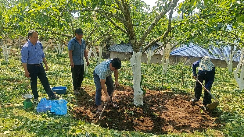 Đào tạo nghề cho lao động nông thôn