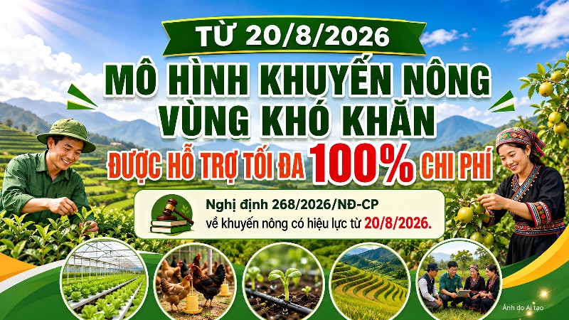 Từ 20/8/2026, mô hình khuyến nông tại vùng khó khăn được hỗ trợ tối đa 100% chi phí