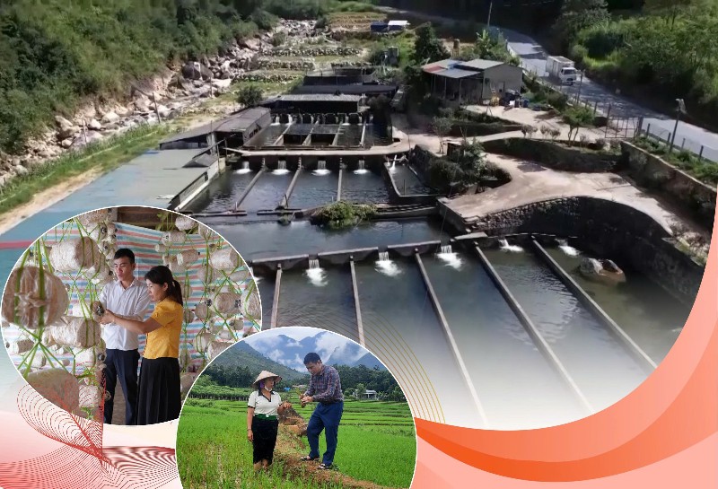 Cầu nối đưa tiến bộ khoa học kỹ thuật đến nông dân