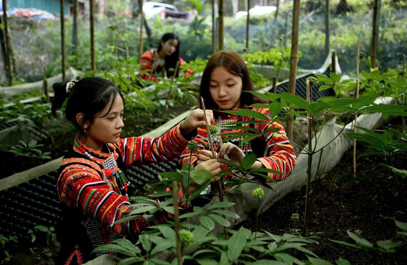 Kỳ 2: Hướng tới thị trường quốc tế