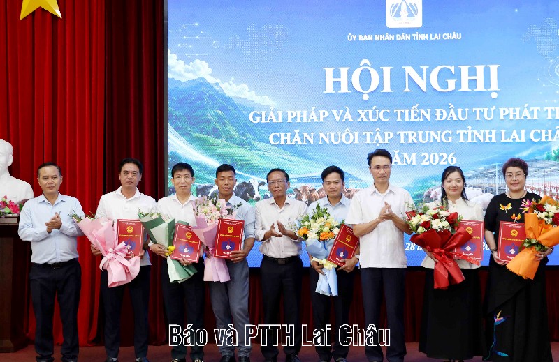 Giải pháp và xúc tiến đầu tư phát triển chăn nuôi tập trung tỉnh Lai Châu năm 2026