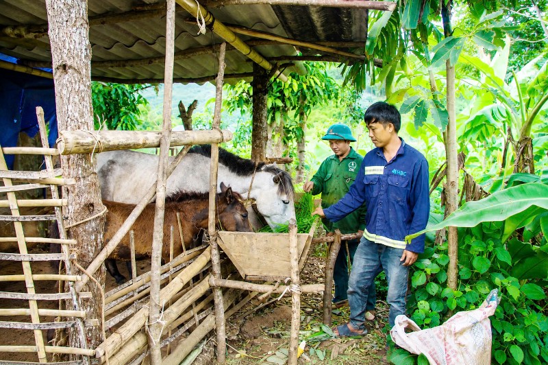 Trao sinh kế, tạo động lực thoát nghèo