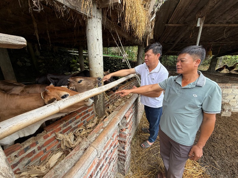 Mường Kim học Bác