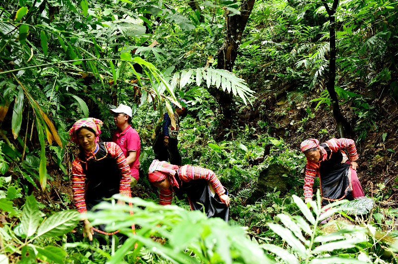 Chủ động ứng phó với biến đổi khí hậu 