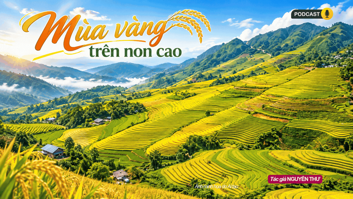 Mùa vàng trên non cao