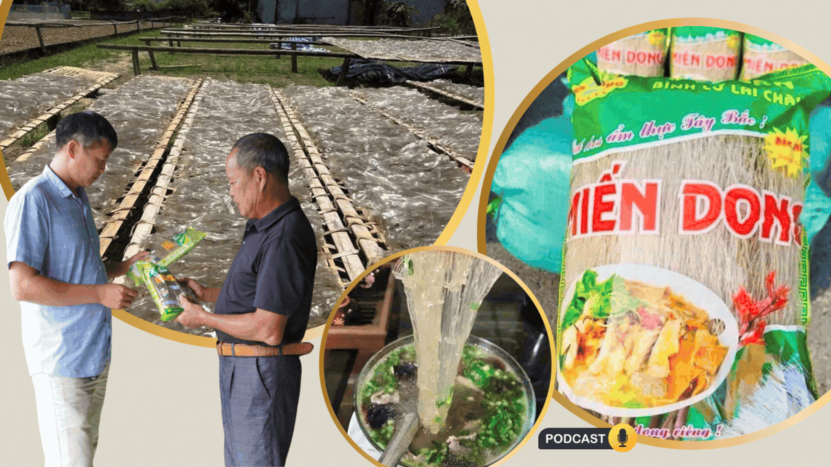 Giữ nghề trong từng sợi miến
