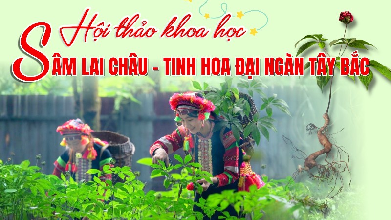 Hội thảo khoa học “Sâm Lai Châu - Tinh hoa đại ngàn Tây Bắc”