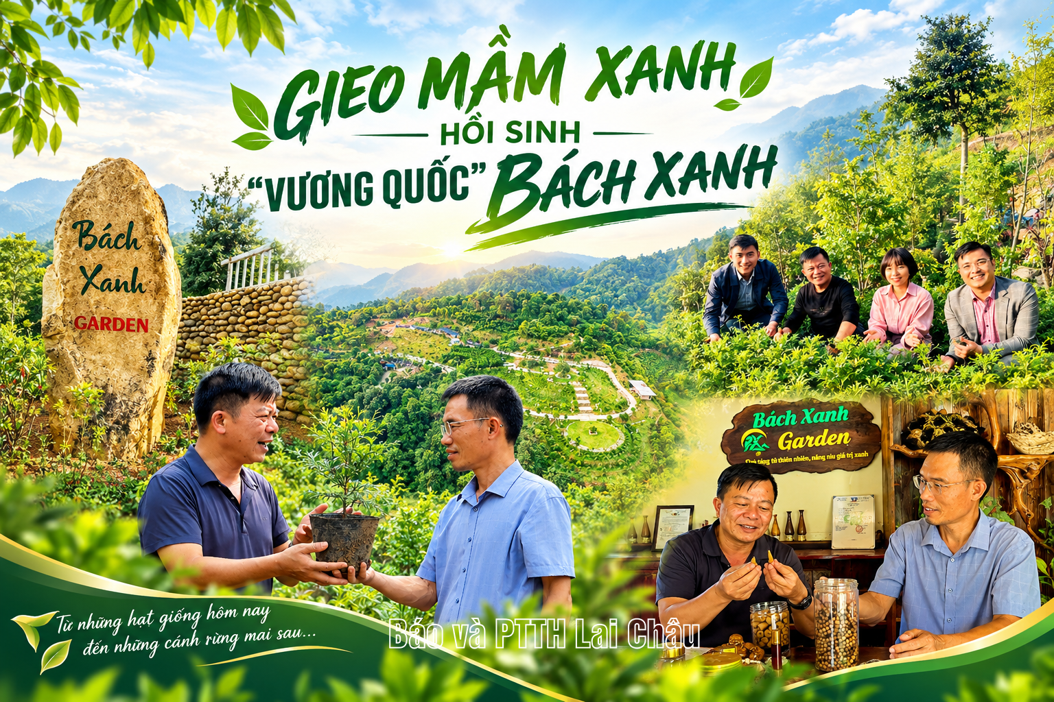Gieo mầm xanh - Hồi sinh "vương quốc" Bách xanh 