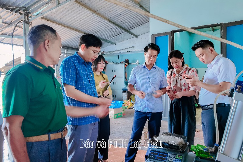 Đoàn đại biểu Quốc hội tỉnh giám sát việc thực hiện chính sách, pháp luật về Chương trình mỗi xã một sản phẩm 
