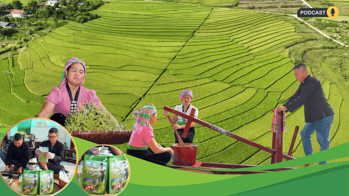Cốm nếp Co Giàng - Từ thức quà quê đến sản phẩm OCOP