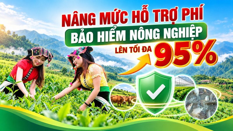 Nâng hỗ trợ phí bảo hiểm nông nghiệp lên tối đa 95%