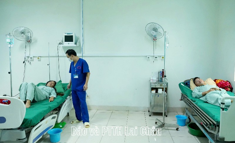 Cảnh báo ngộ từ nấm rừng