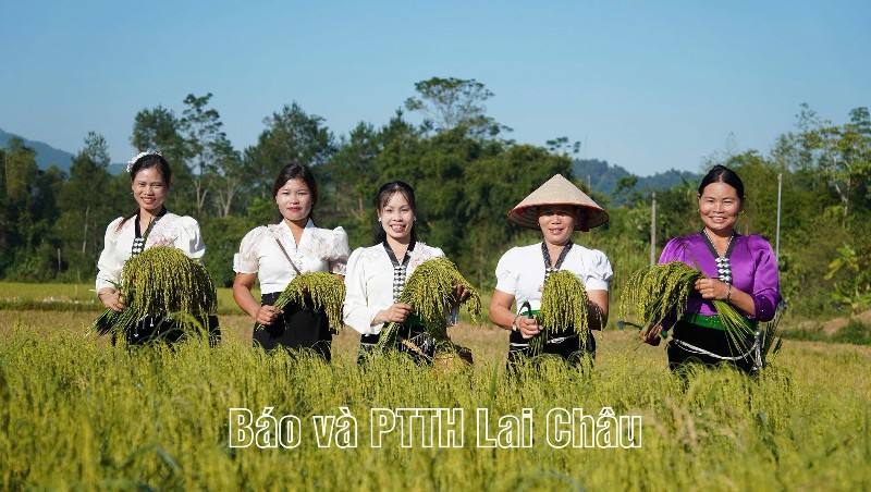 Cốm Co Giàng – Thơm hương nếp mới, đậm tình Lai Châu