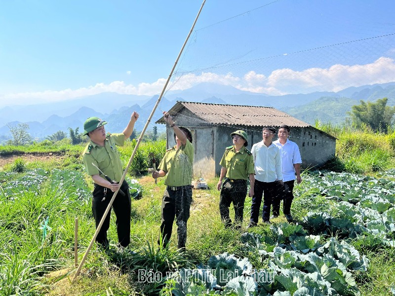 Thu hồi, tiêu hủy lưới tàng hình bẫy chim hoang dã