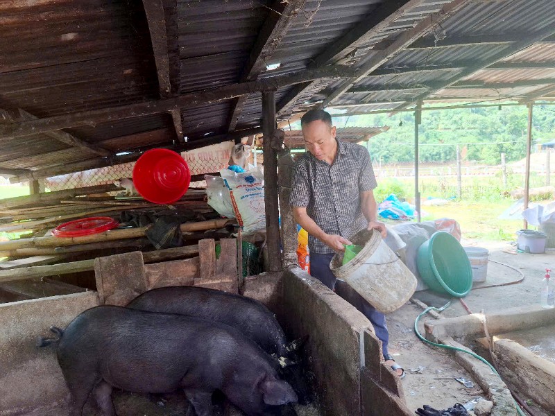 Hạt nhân phát triển kinh tế ở Bum Tở 