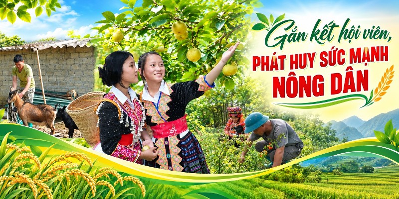 Gắn kết hội viên, phát huy sức mạnh nông dân