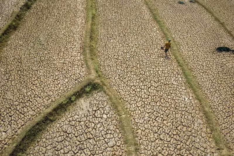 El Niño đe dọa mùa màng và nguồn cung lương thực từ Đông Nam Á